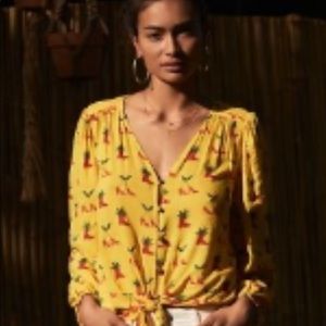 NWT ANTHROPOLOGIE KENDRA DANDY BLOUSE BOOTS AND HEELS  🌵👢👠🌵 ADORABLE